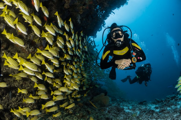 Commercial diver underwater